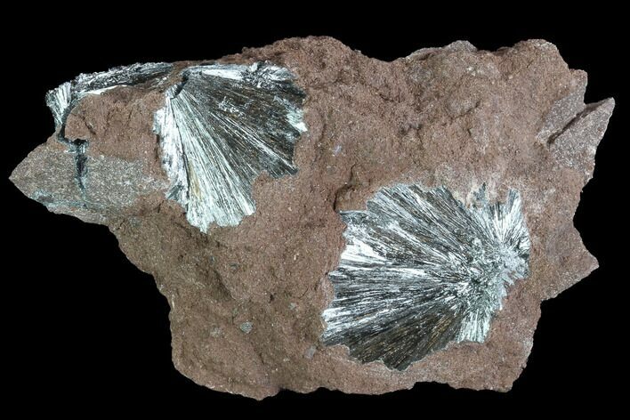Metallic, Needle-Like Pyrolusite Cystals - Morocco #88944